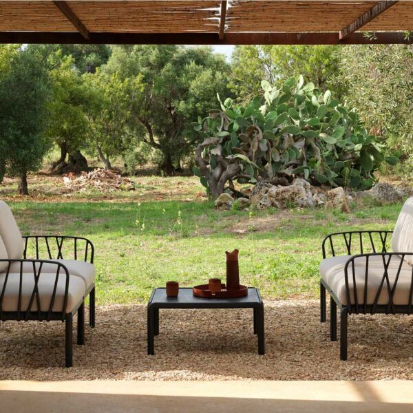 Ambiente Komodo 2